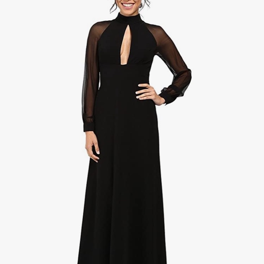 Jill Jill Stuart Dress with Plunging Neck & Sheer Sleeves